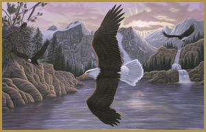 bald eagles